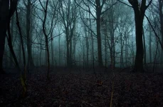 Кто там? Часть вторая. Мрачное прошлое...