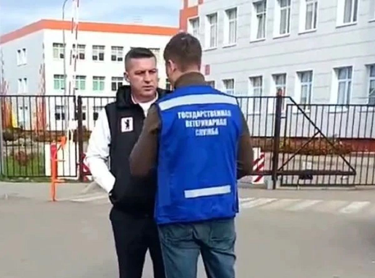 Собака напала на ребенка у школы в Малоярославце