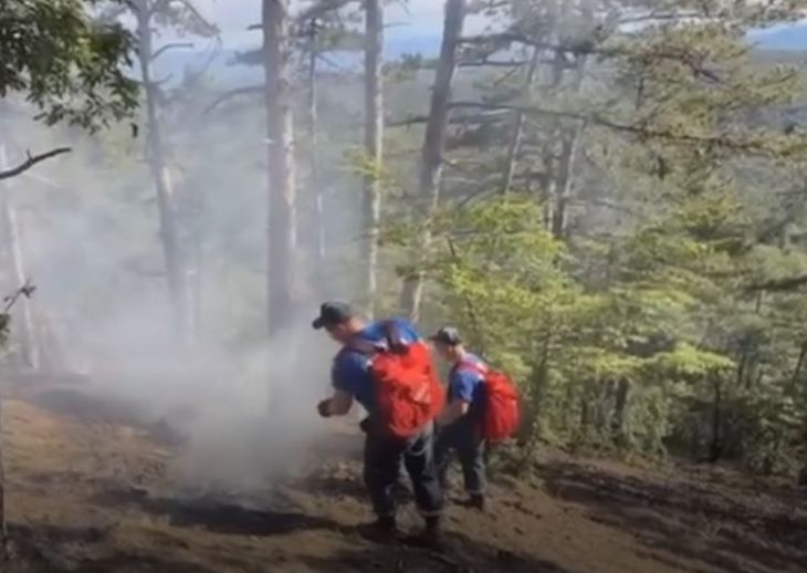 Огнеборцы ликвидировали пожар в Национальном парке «Крымский»