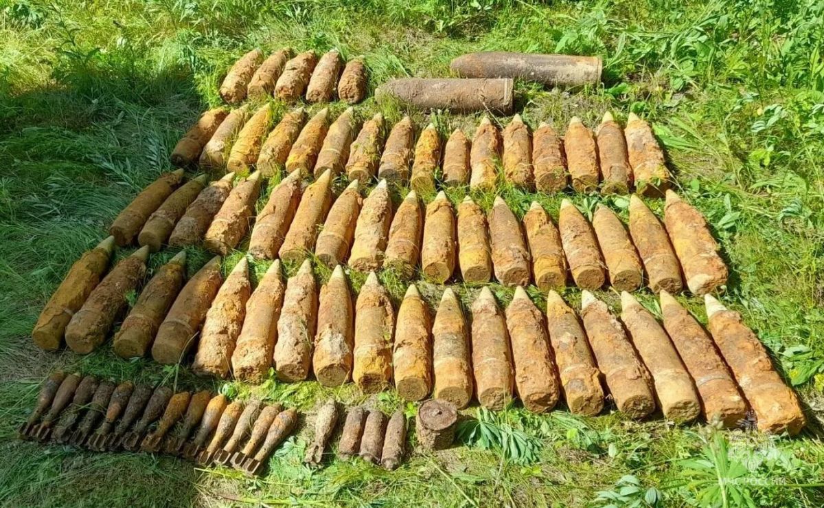 В Калужской области обезвредили схрон боеприпасов времен войны