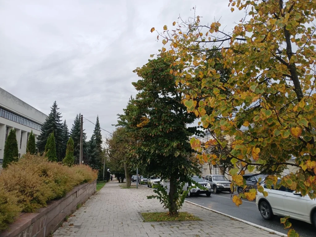 В Калужской области опять прогнозируют грозу