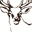 lesnoe.ru