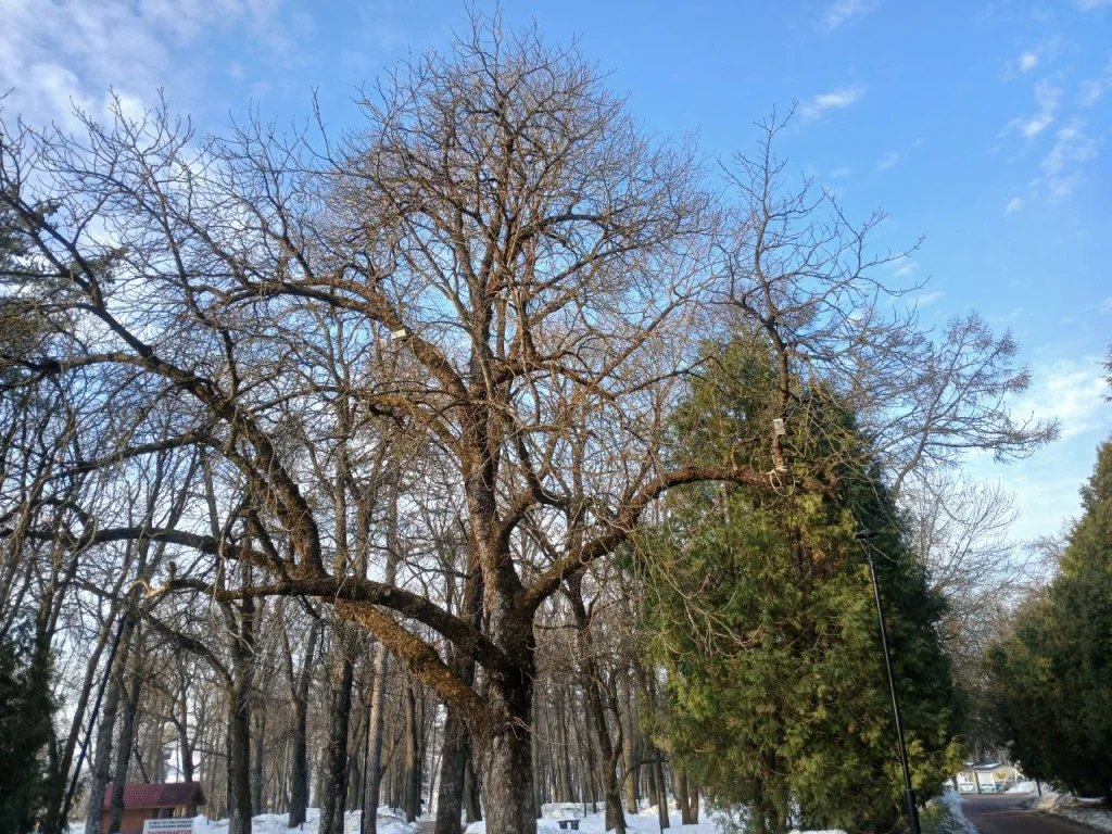 В Калуге заметно потеплеет