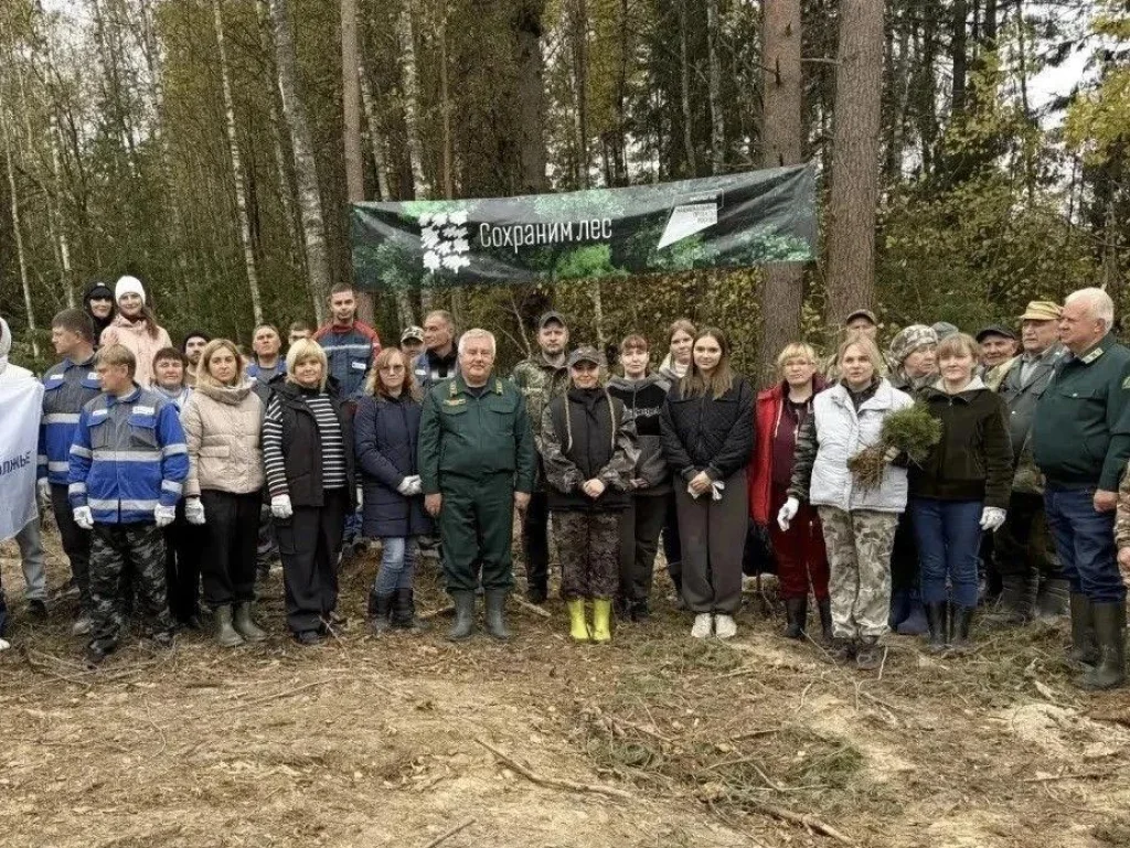 Волонтёры высадили 6000 сеянцев сосны в рамках акции «Сохраним лес»