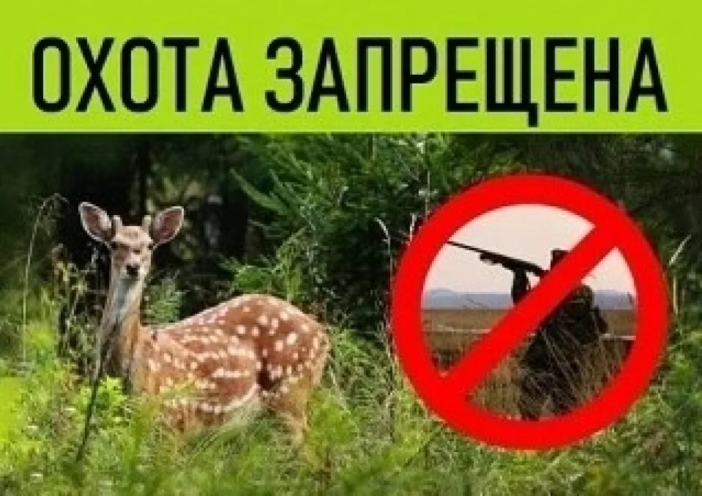 В Калужской области с 28 сентября запретят охоту 