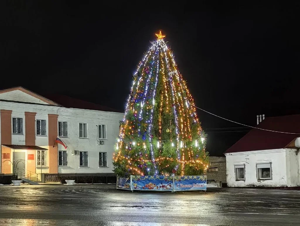 В Ульяново установили главную ёлку