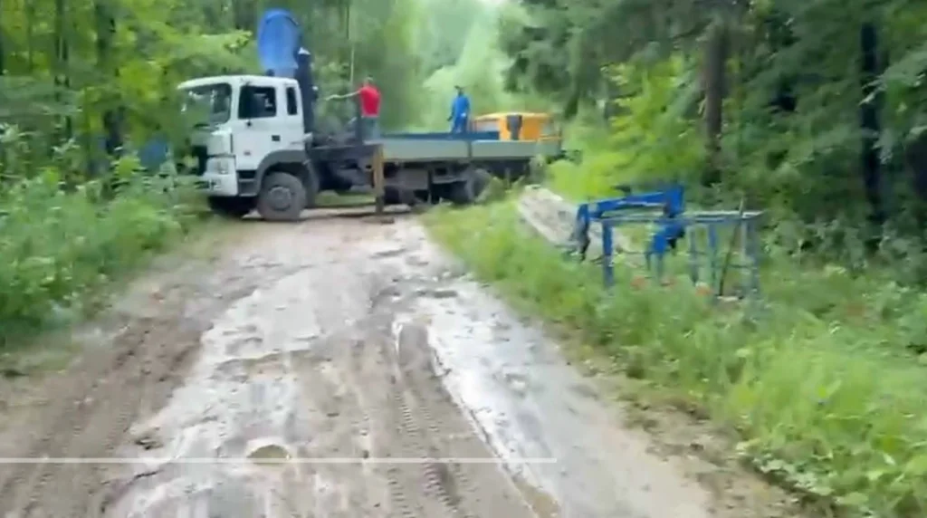 В селе Нижнее проверят законность вырубки леса
