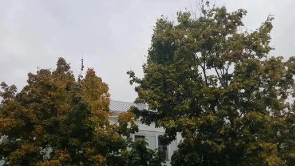 Росавиация сняла ограничения в калужском аэропорту