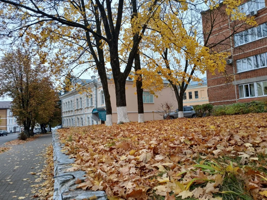Росавиация открыла калужское небо