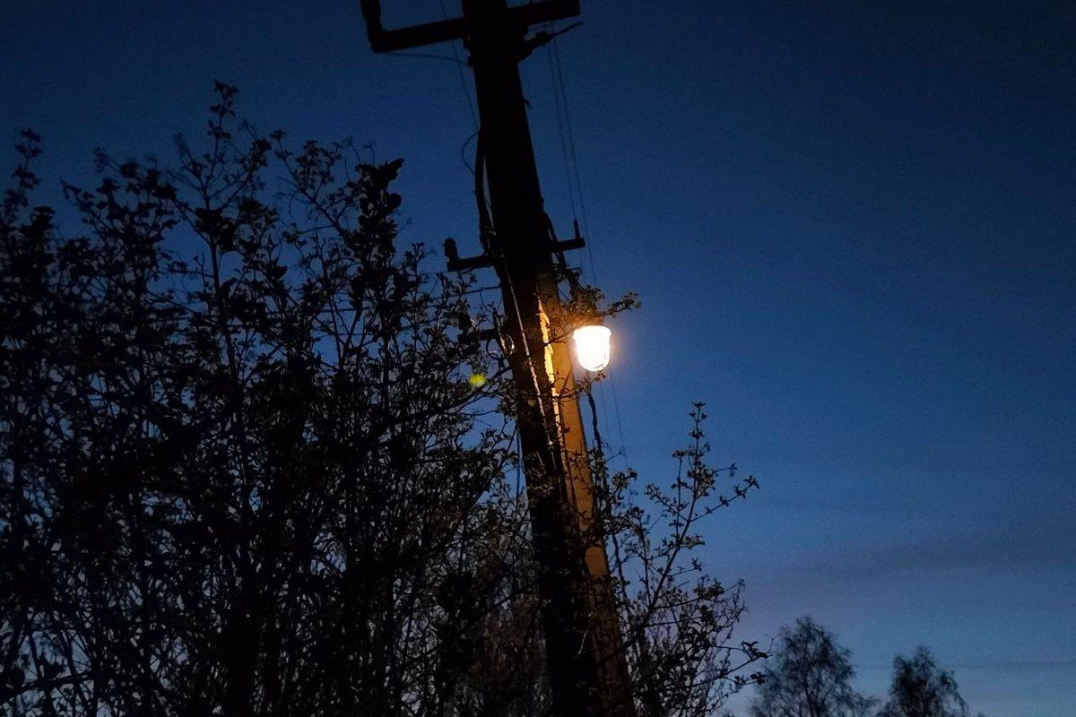 Упавшее дерево оставило семь деревень под Калугой без света