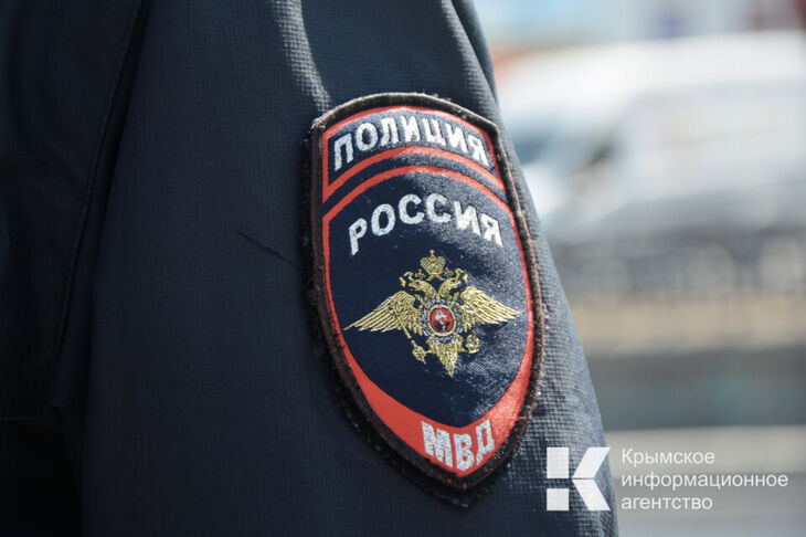 Крымчанина, ударившего полицейского, будут судить