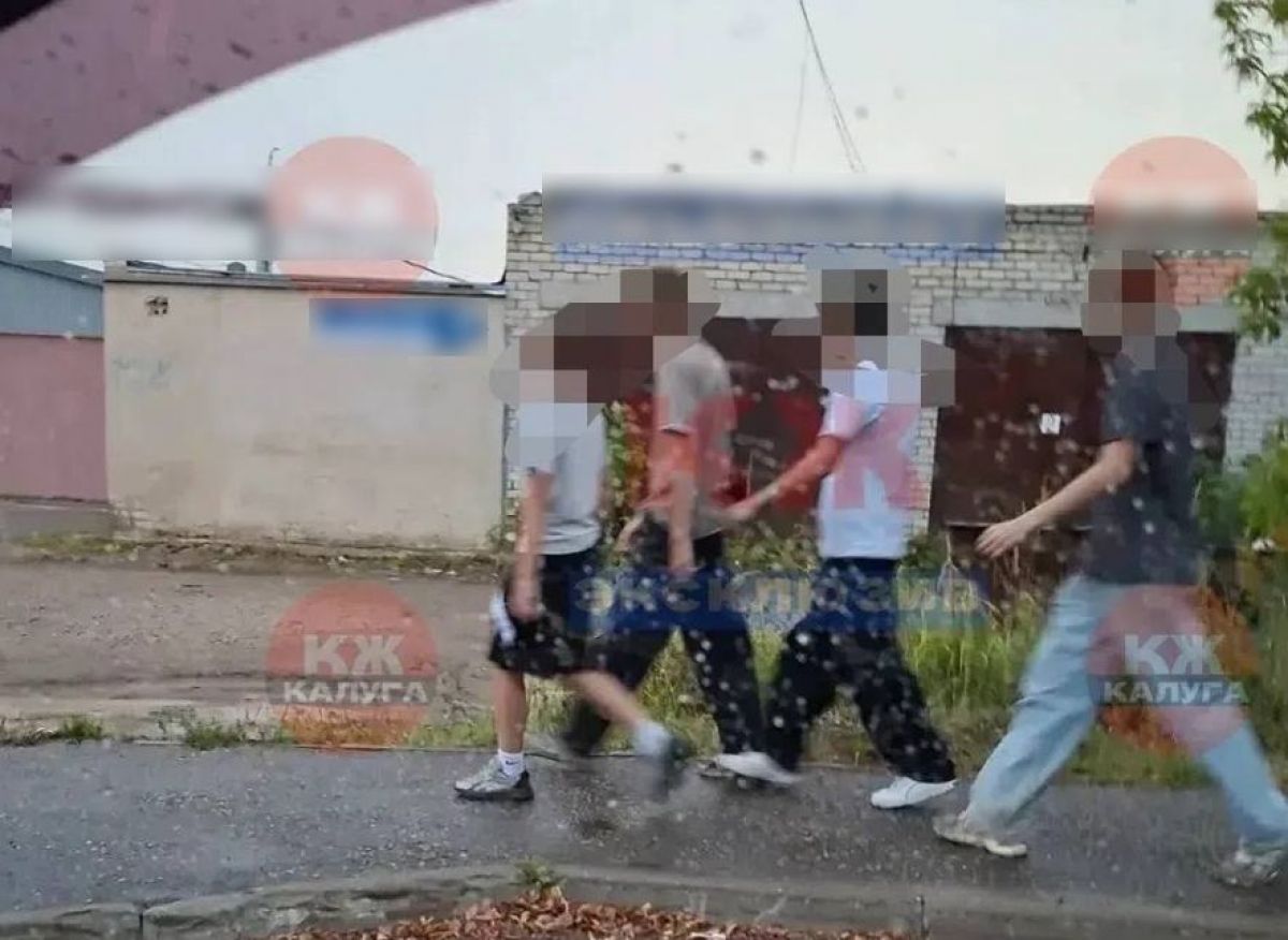 Овощная банда подростков громит огороды в калужских Железняках